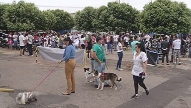 Grupo protesta contra envenenamento de mais de 40 cães em Catalão
