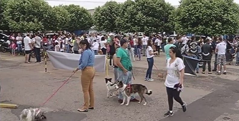 Grupo protesta contra envenenamento de mais de 40 cães em Catalão