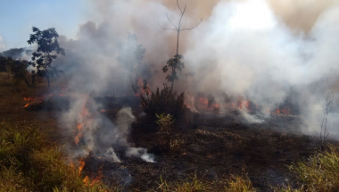 Fazendeiro e funcionários são presos por ‘queimada ilegal’ em Jataí