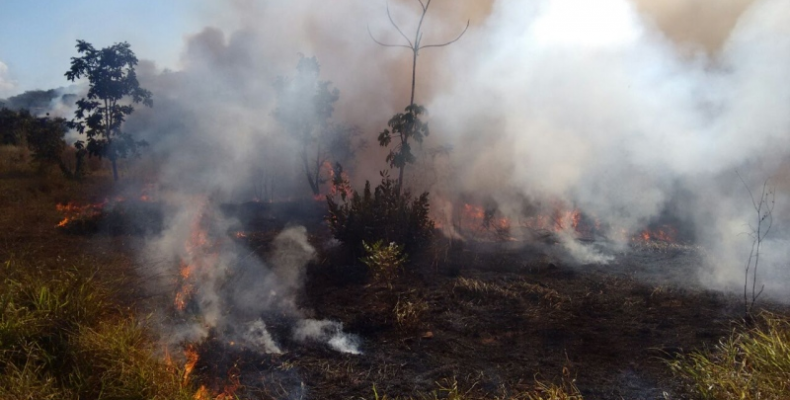 Fazendeiro e funcionários são presos por ‘queimada ilegal’ em Jataí