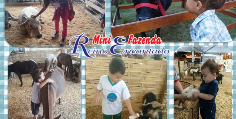 Feira de artesanato e mini fazenda, mais atrações para a Expo Catalão