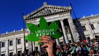 Uruguai começa a vender maconha de uso recreativo em farmácias