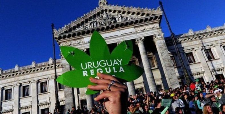 Uruguai começa a vender maconha de uso recreativo em farmácias