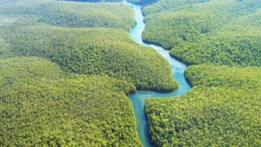 Justiça do DF suspende atos que extingue reserva de mineração na Amazônia