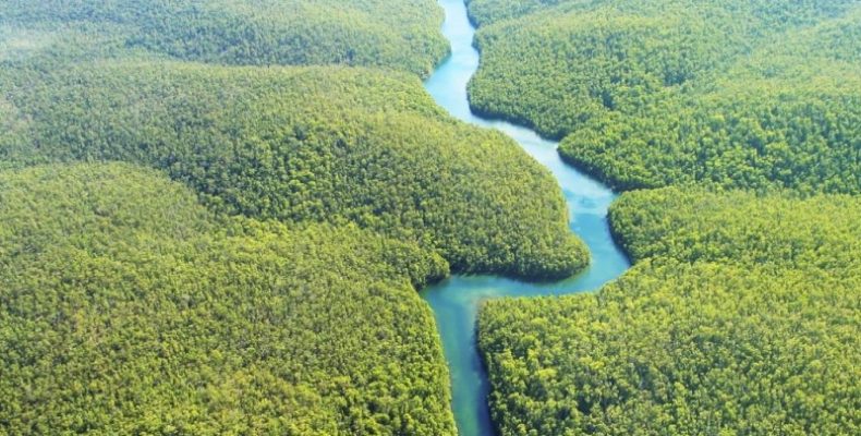 Justiça do DF suspende atos que extingue reserva de mineração na Amazônia