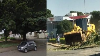 MP aciona prefeitura de Catalão e Celg por retirada e poda irregulares de árvores