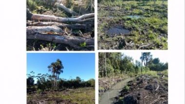 MP aciona cerâmica por degradação ambiental em área entre Ouvidor e Três Ranchos