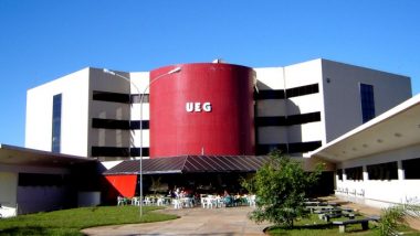 UEG discute alto rendimento