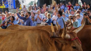 José Eliton acompanha tradicional desfile dos carreiros na festa de Trindade