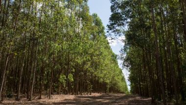 CMOC Brasil utiliza fontes alternativas de energia