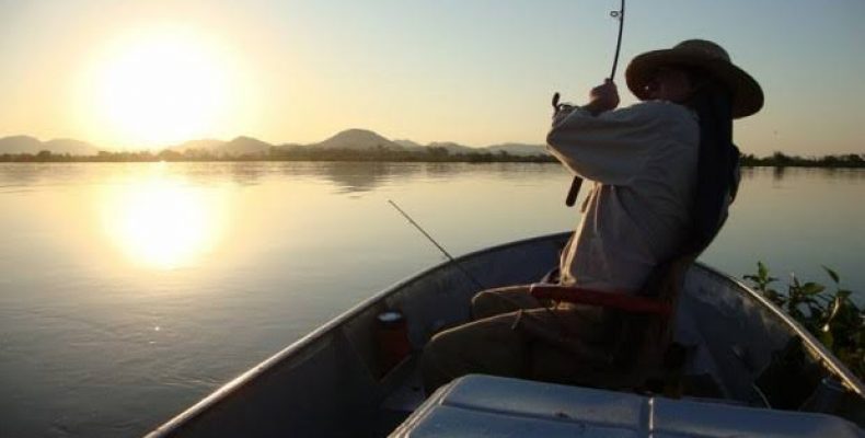 Cota zero para pesca amadora só vai entrar em vigor em 2020