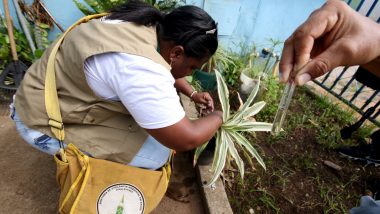 Saúde divulga balanço de casos de dengue em Goiás