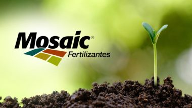Nutrição de safras: Mosaic Fertilizantes lança série de vídeos para produtor rural