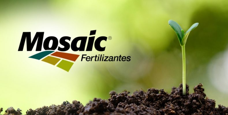 Nutrição de safras: Mosaic Fertilizantes lança série de vídeos para produtor rural