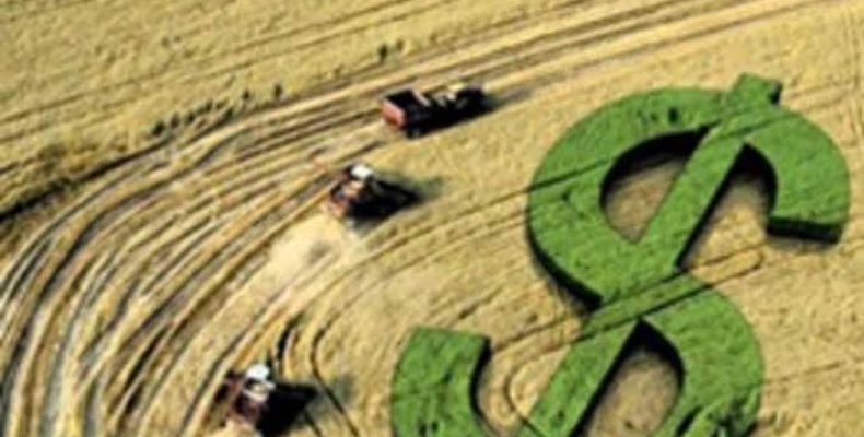Lei prevê perdão fiscal de R$ 1 bi a produtores rurais