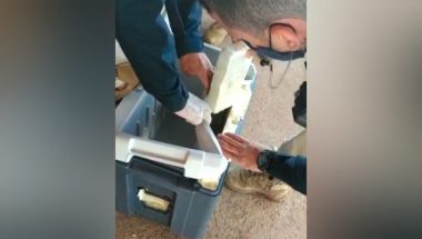 Cocaína avaliada em R$ 500 mil é apreendida em fundo falso de caixa térmica em Anápolis