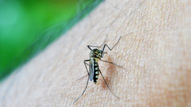 Aumenta preocupação com doenças ligadas ao Aedes aegypti no verão
