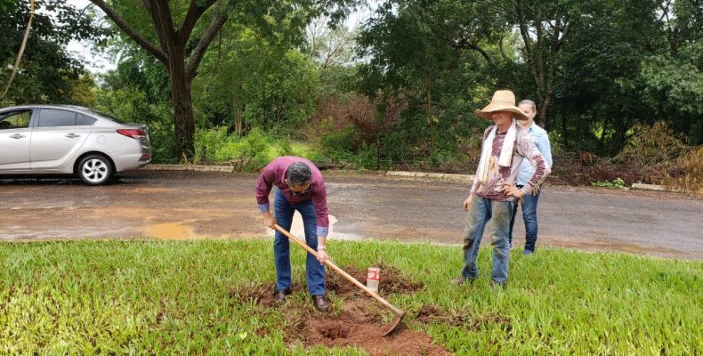 Secretaria de Meio Ambiente realiza plantio de mudas nativas, ornamentais e frutíferas em Anhanguera