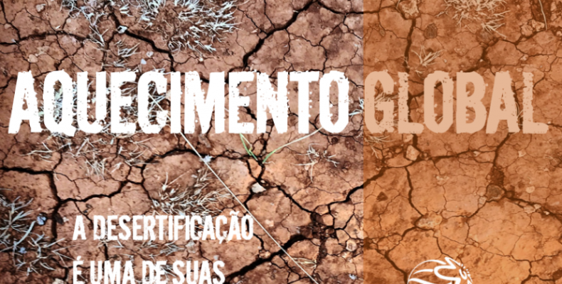 AQUECIMENTO GLOBAL: A desertificação é uma de suas trágicas consequências