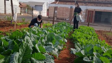 Sindicato Rural de Catalão: Faeg Jovem colhe primeiras cultura de horta comunitária