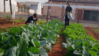 Sindicato Rural de Catalão: Faeg Jovem colhe primeiras cultura de horta comunitária