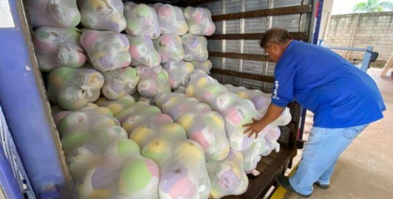 Governo de Goiás inicia entrega de meio milhão de brinquedos nos 246 municípios do Estado