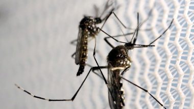 Ministério lança campanha de combate ao mosquito da dengue