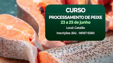 Processamento de peixe é tema de curso do SENAR e Sindicato Rural de Catalão