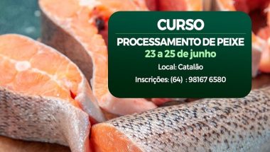 Processamento de peixe é tema de curso do SENAR e Sindicato Rural de Catalão