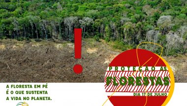 SEFAC celebra as florestas na data dedicada mundialmente a sua preservação