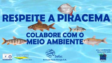 A Sefac lembra a todos que a piracema vai de 1º novembro a 28 de fevereiro, meses em que os peixes desovam