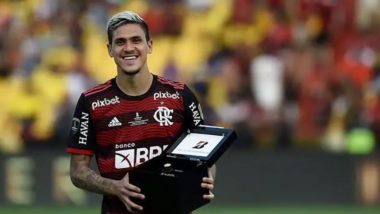 Flamengo x Atlético-MG: Pedro tem lesões no rosto após agressão de preparador físico