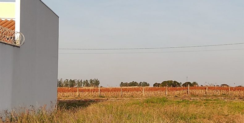 ATUAÇÃO EXTRAJUDICIAL DO MPGO GARANTE, NO PLANO DIRETOR DE GOIANDIRA, PROIBIÇÃO DO USO DE AGROTÓXICOS A MENOS DE 1 QUILÔMETRO DA ZONA URBANA