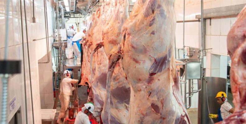 Abate de bovinos cresce 25,9% no segundo trimestre em Goiás