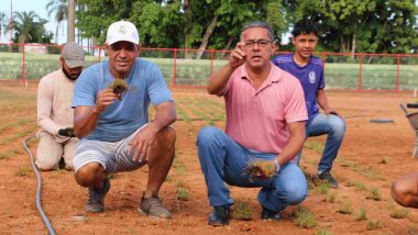 Prefeitura de Anhanguera e secretarias municipais realizam plantio de grama em campo de futebol