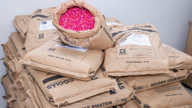 Emater comercializa sementes a preços acessíveis para agricultores familiares goianos