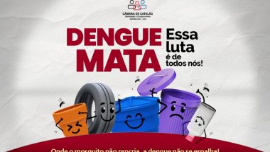 Câmara de Vereadores de Catalão: Dengue Mata