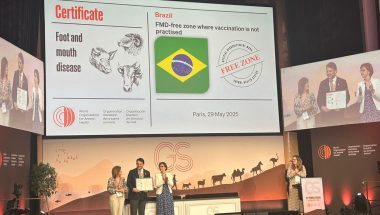 AGRO: Goiás é oficialmente zona livre de febre aftosa sem vacinação