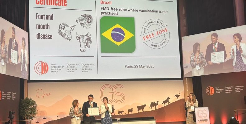 AGRO: Goiás é oficialmente zona livre de febre aftosa sem vacinação
