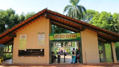 Zoológico de Goiânia fecha para investigar morte de cisne negro