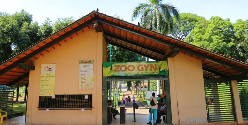 Zoológico de Goiânia fecha para investigar morte de cisne negro