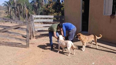 Vacinação antirrábica chega à zona rural de Campo Alegre e mobiliza equipes da saúde
