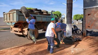 SUSTENTABILIDADE E LOGÍSTICA REVERSA | Parceria público-privada garante destinação correta de Pneus em Ouvidor