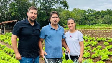 Campo Alegre fortalece o campo: Secretaria de agricultura colhe resultados positivos no Fim de Ano
