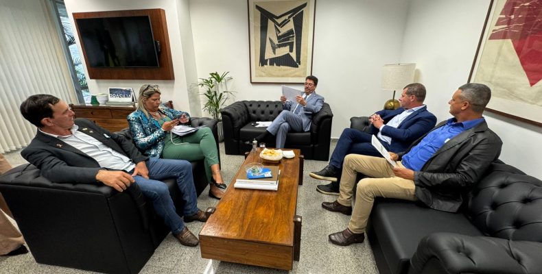 Comitiva de Campo Alegre de Goiás é recebida em Brasília e conquista recursos