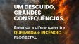 De prevenção a queimadas e incêndios florestais