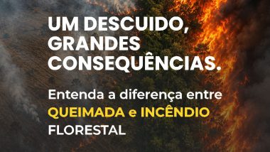 De prevenção a queimadas e incêndios florestais