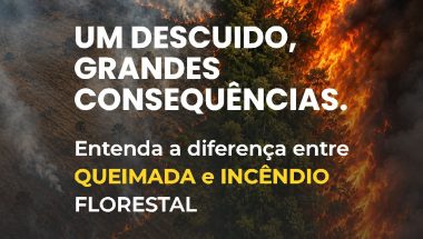 De prevenção a queimadas e incêndios florestais