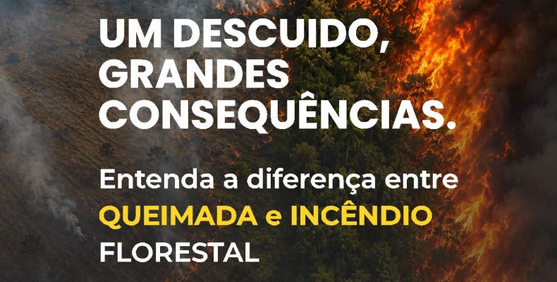 De prevenção a queimadas e incêndios florestais