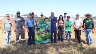 Qualificação e futuro: Prefeitura de Ouvidor encerra curso profissionalizante de retroescavadeira